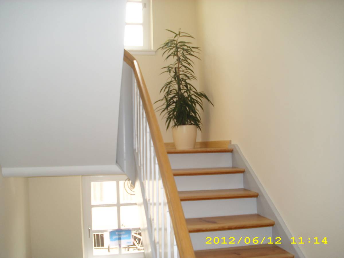 Ergänzende Therapien