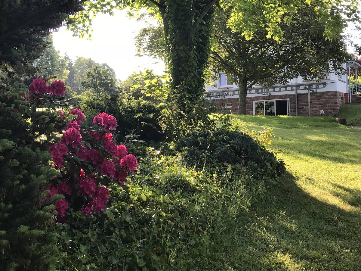 Atemtherapie & Trancetraining